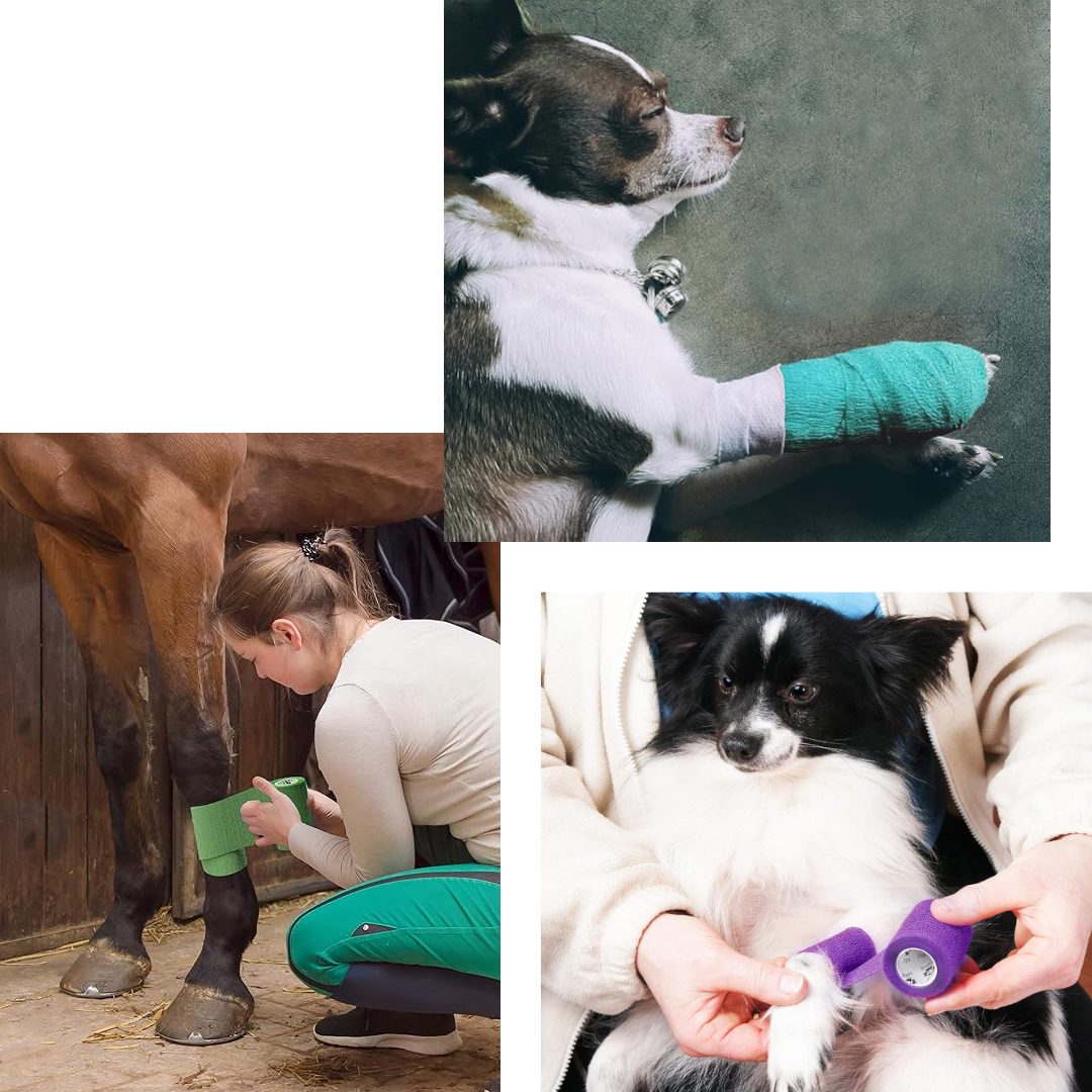 Bodhi&Digby animal cohesive elastic bandage 7.5cm x 4.5m green - Image 4