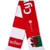 Men's Scarf FWC2022 Wales.