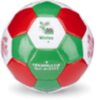FIFA FWC0 WALES FOOTBALL r. 2