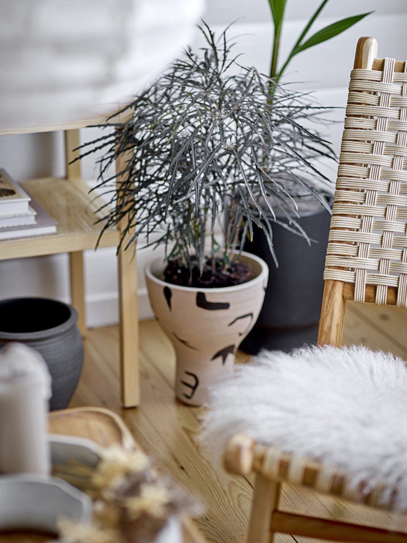 2344a4c7cec1574a8c3114cc906cc114