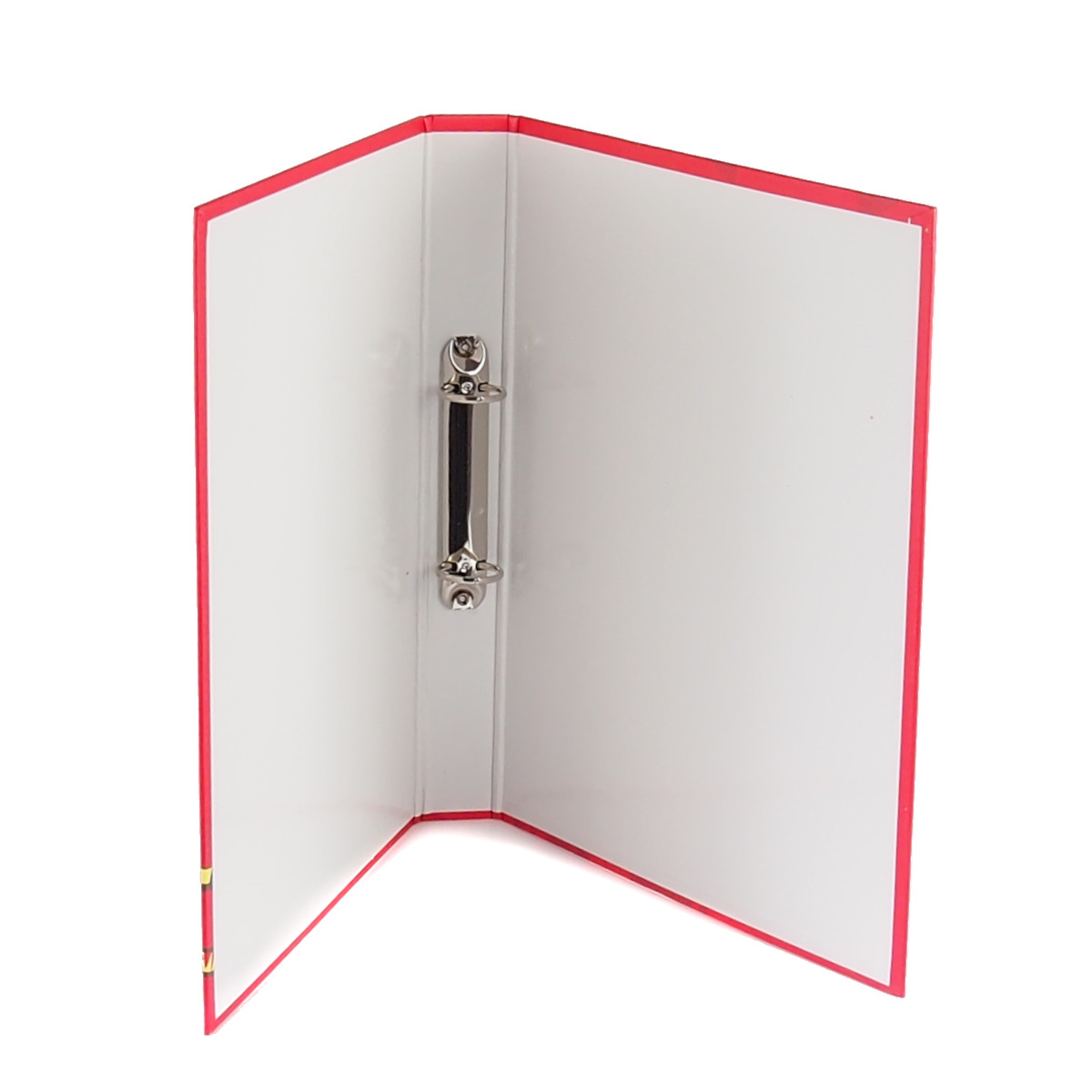 2_5554_389013_1681306192