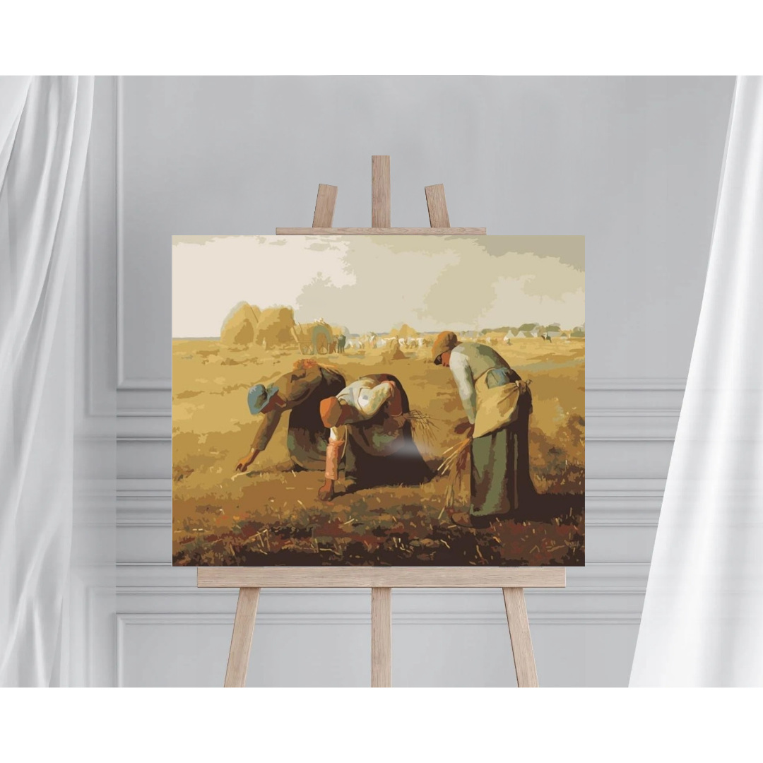 2_12139_59017508693-roln_1740661473